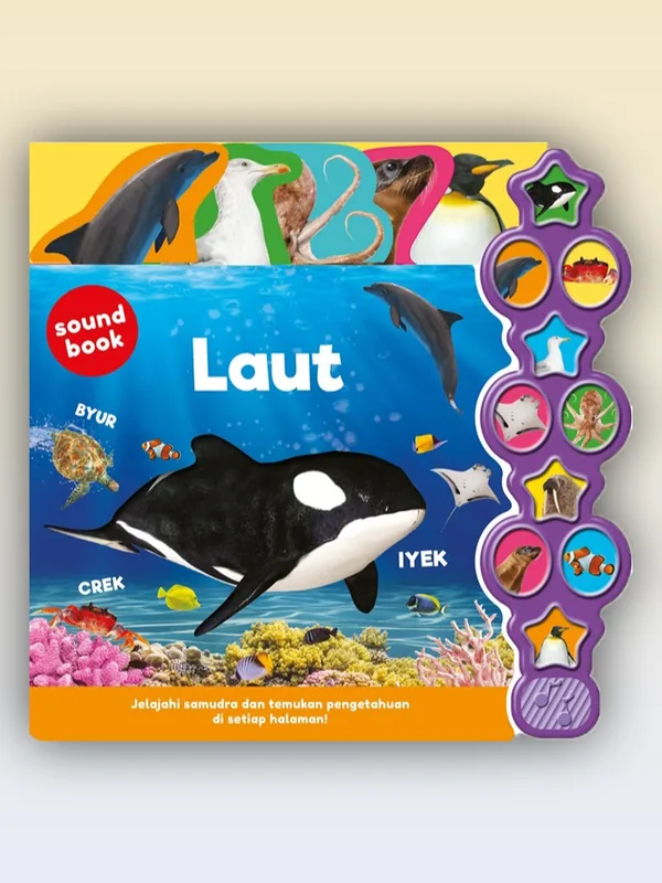 Sampul Big Sound Book: Laut